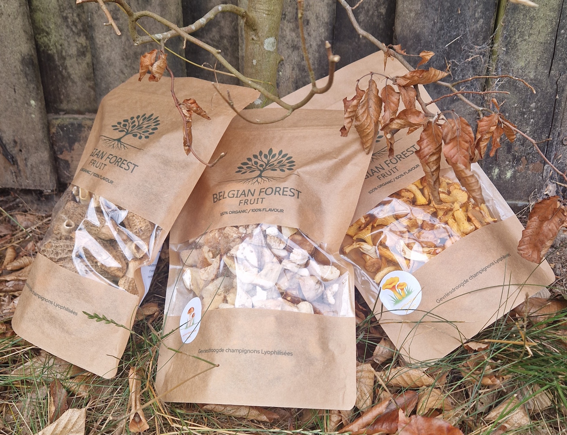 Gevriesdroogde boschampignons
